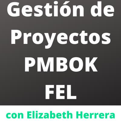 003 - Gestión de Proyectos - PMBOK - FEL