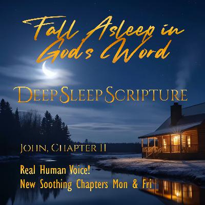 John, Chapter 11 – 30 min. Deep Sleep Scripture Sleep Bible Chapters