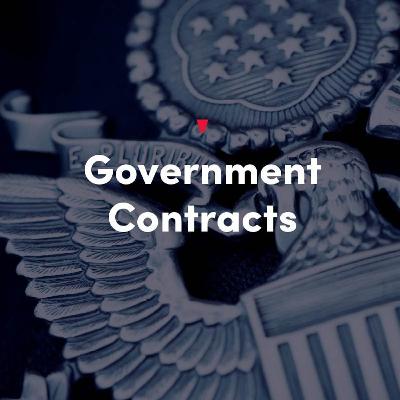 AI Risks for Government Contractors: Navigating Disputes and Litigation AI Risks for Government Contractors: Navigating Disputes and Litigation