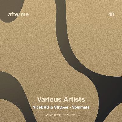 NiceBRG & Strypee - Soulmate (Original Mix)