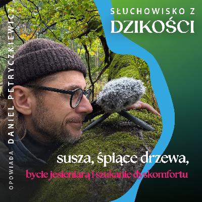O suszy w Rozlewisku, śpiących drzewach, jesieni i szukaniu dyskomfortu