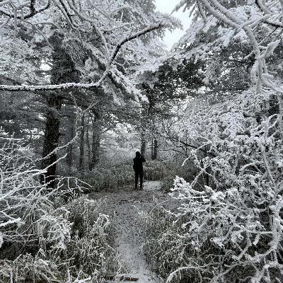 23「他们说看到蓝额长脚地鸲在游泳」