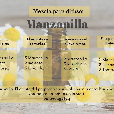 Manzanilla "El aceite del propósito espiritual"