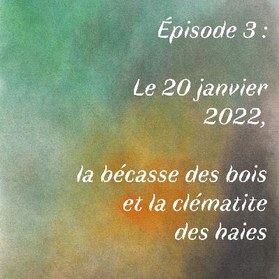 Épisode 3 : Le 20 janvier 2022, la bécasse des bois et la clématite des haies
