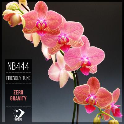 Friendly Tune - Zero Gravity (Original Mix)