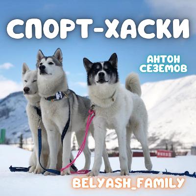 Спортивные Хаски против Олимпиады Спортивные Хаски против Олимпиады