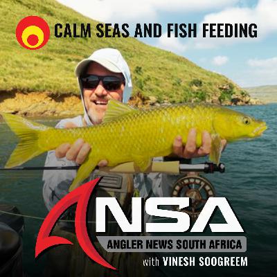 Calm Seas and Fish Feeding - KZN REPORT (19 FEBRUARY '26) Calm Seas and Fish Feeding - KZN REPORT (19 FEBRUARY '26)