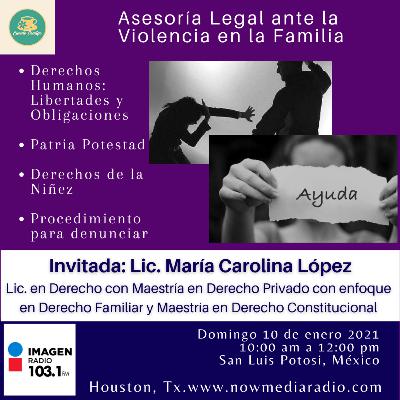 Violencia en la Familia. ¿Que hacer desde un punto de vista legal? Violencia en la Familia. ¿Que hacer desde un punto de vista legal?