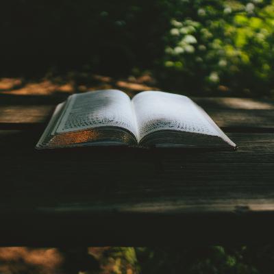 Relevance Is a Reading Skill