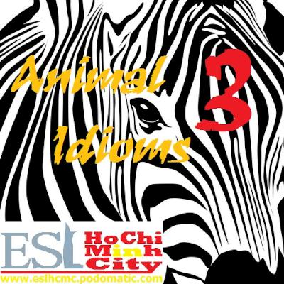 Animal Idioms - Part Three