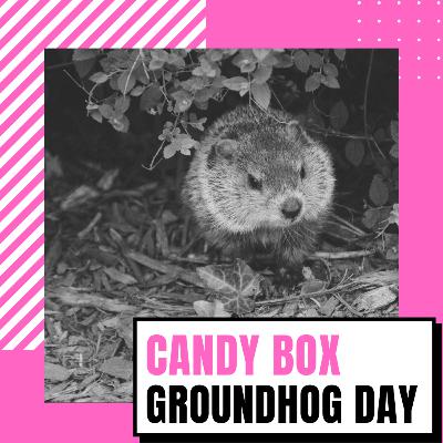 CANDY BOX // Il giorno della marmotta