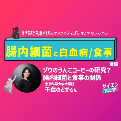 ゾウのうんこコーヒーの研究？腸内細菌と食事の関係【腸内細菌と白血病/食事 前編】　#160