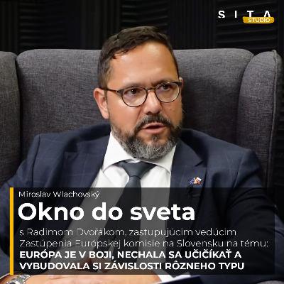 64 - Radim Dvořák o závislostiach Európy, ktorá je v boji | Miroslav Wlachovský a Štúdio SITA 64 - Radim Dvořák o závislostiach Európy, ktorá je v boji | Miroslav Wlachovský a Štúdio SITA
