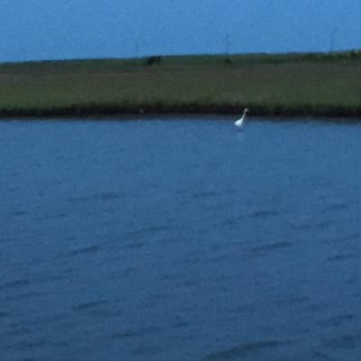 Baby Medusa goes to the beach part 2