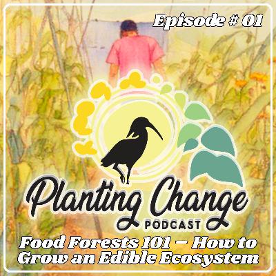 Food Forests 101 – How to Grow an Edible Ecosystem Food Forests 101 – How to Grow an Edible Ecosystem