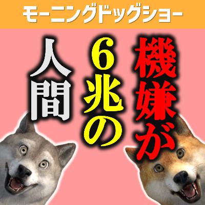 1日の始まりから６兆で始まるので運勢はあまり関係ない