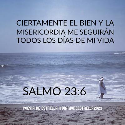 SALMO 23:6a CIERTAMENTE EL BIEN Y LA MISERICORDIA ME SEGUIRAN TODOS LOS DIAS DE MI VIDA. Devocional de Estrella