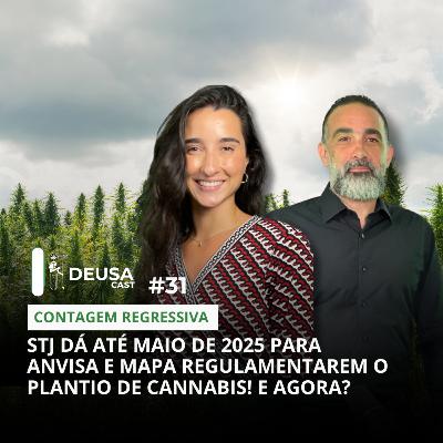 STJ dá até maio de 2025 para Anvisa e mapa regulamentarem o plantio de cannabis! E agora?