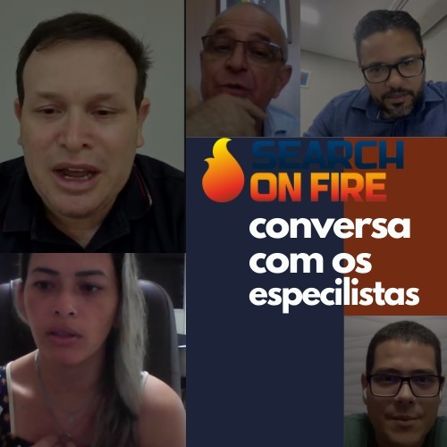 SEARCH ON FIRE:  ENTREVISTA COM ESPECIALISTAS