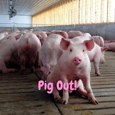 Pig Out ~ 2 Pig Out ~ 2