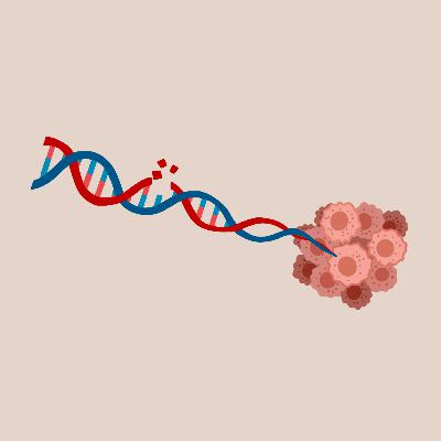 Cancer Causing Genes