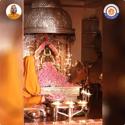 Is it considered improper if a cow consumes offerings during puja? |Spiritual talk with SriSamsthana Is it considered improper if a cow consumes offerings during puja? |Spiritual talk with SriSamsthana