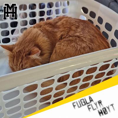 Episode 210: Fugla flyr høyt