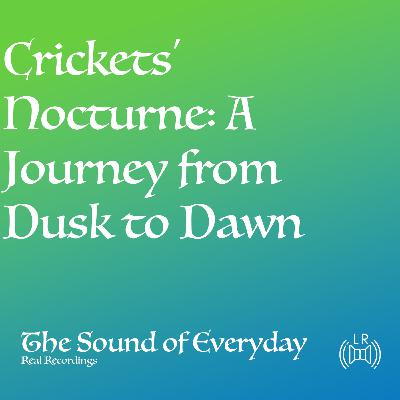 Crickets' Nocturne: A Journey from Dusk to Dawn (Audio only) - Relaxing Nature Sound