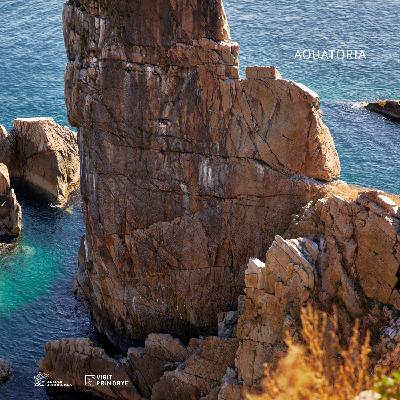 ГЛАВА ПЯТАЯ. "ОСТРОВ ФУРУГЕЛЬМА"