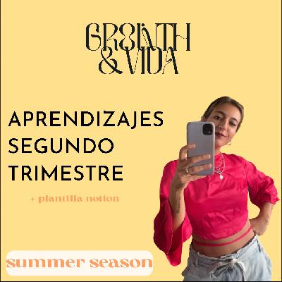 Aprendizajes segundo trimestre del negocio+ Plantilla Notion - Summer Season 65