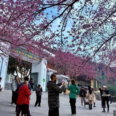 Bản tin vùng Đông Bắc ngày 26/12/2025