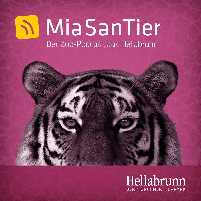 Moderne (in) Zoos