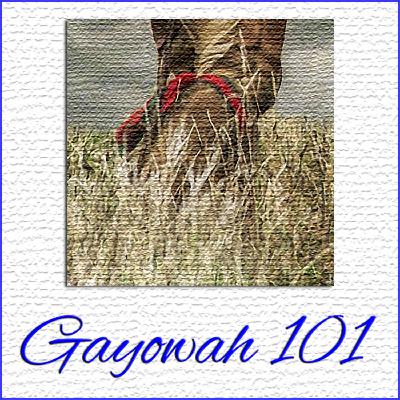 Gayowah 101 - Show #05 (All Iroquois Social Dance)