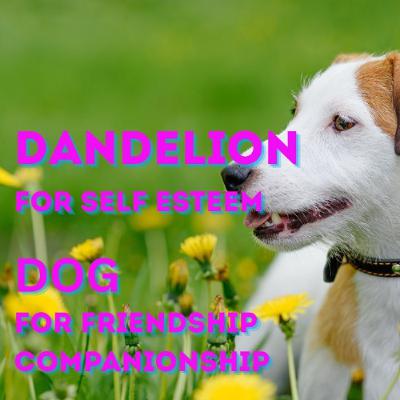 PROTECT ELON- NATIONS GRATEFUL-US FLOWERING - DECEMBER 9, 2025