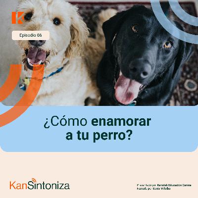 ¿Cómo enamorar a tu perro?
