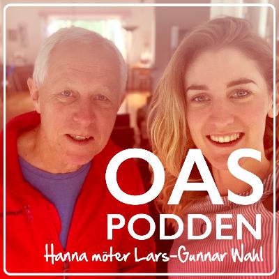 Hanna möter Lars-Gunnar Wahl