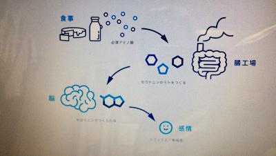 血流が悪くなると心の状態が悪くなるしくみについて from Radiotalk 血流が悪くなると心の状態が悪くなるしくみについて from Radiotalk