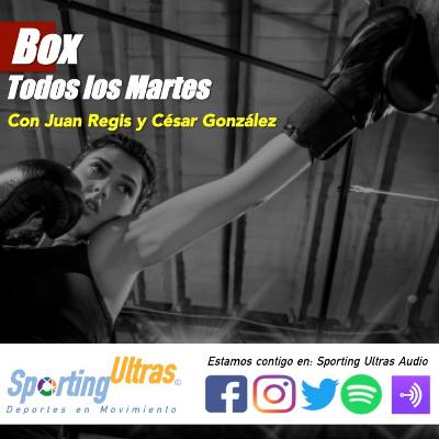 17 Nov Sporting Ultras Box