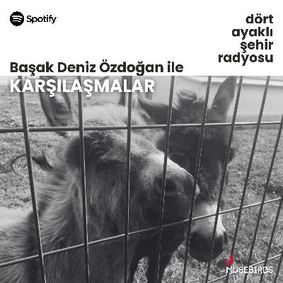 Karşılaşmalar - Başak Deniz Özdoğan | Kendisi olarak Panter Emel Yıldız Karşılaşmalar - Başak Deniz Özdoğan | Kendisi olarak Panter Emel Yıldız