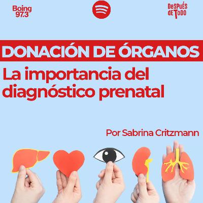 Sabrina Critzmann, médica pediátrica