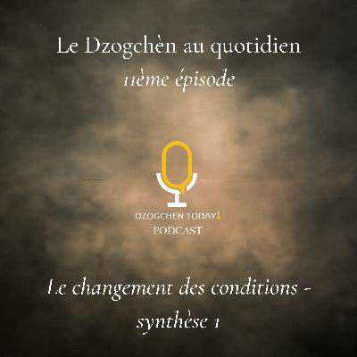Le Dzogchèn et le “soulagement” des émotions au jour le jour (11) - Le changement des conditions - synthèse 1