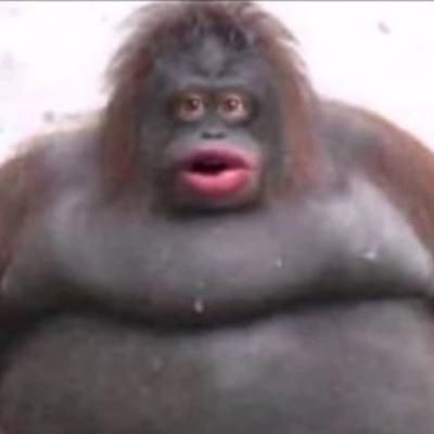 Films and game cast episode 1