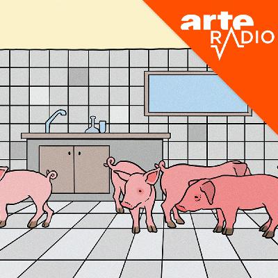 Notre visiteur des étoiles - Épisode 329