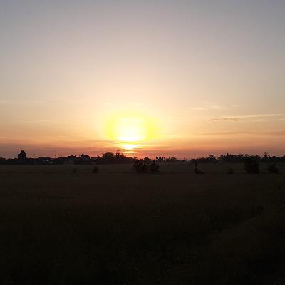 Alergăm pentru Viață!