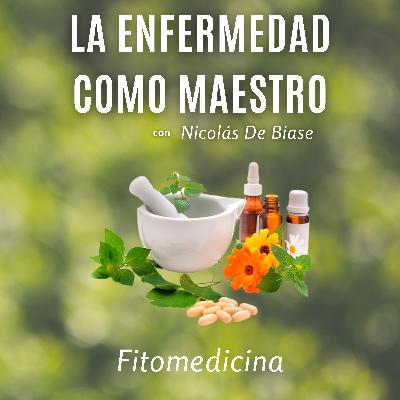 Ep7 - Fitomedicina