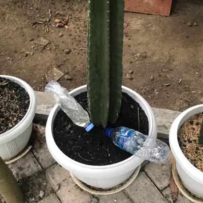 susah jatuh cinta atau emang picky aja?