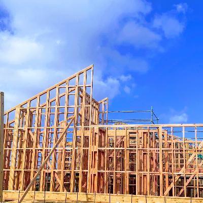 Build Aotearoa 6: Framology with Pete Hammond
