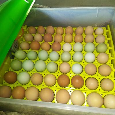 Episode 27 - Journey Into Freedom Episode 27 - Journey Into Freedom