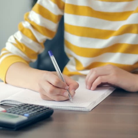 How to become a professional essay writer – 2021