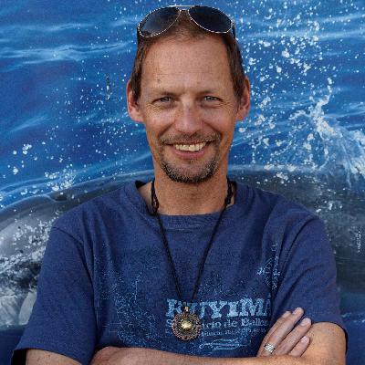 Fabian Ritter - Wie Wale beim Klimaschutz helfen